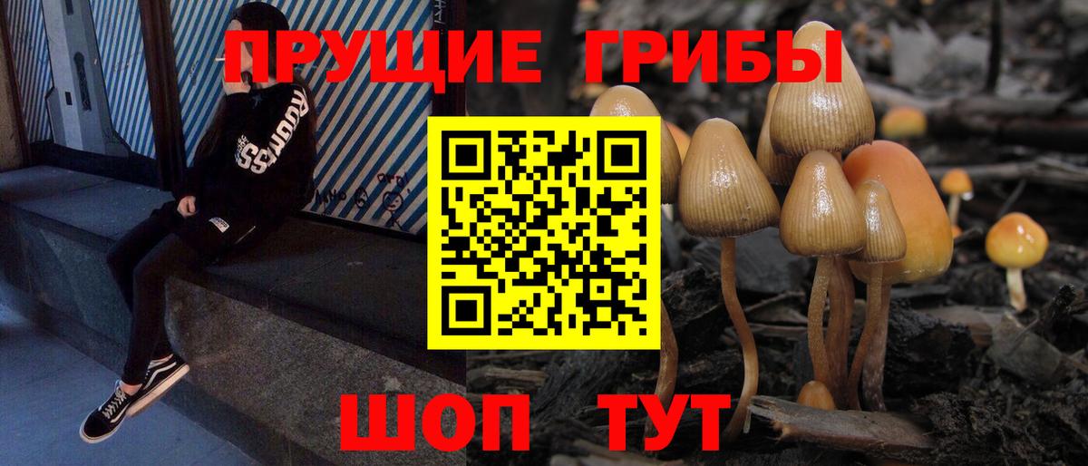 Псилоцибиновые грибы Psilocybe  Вход с VPN  Карталы 